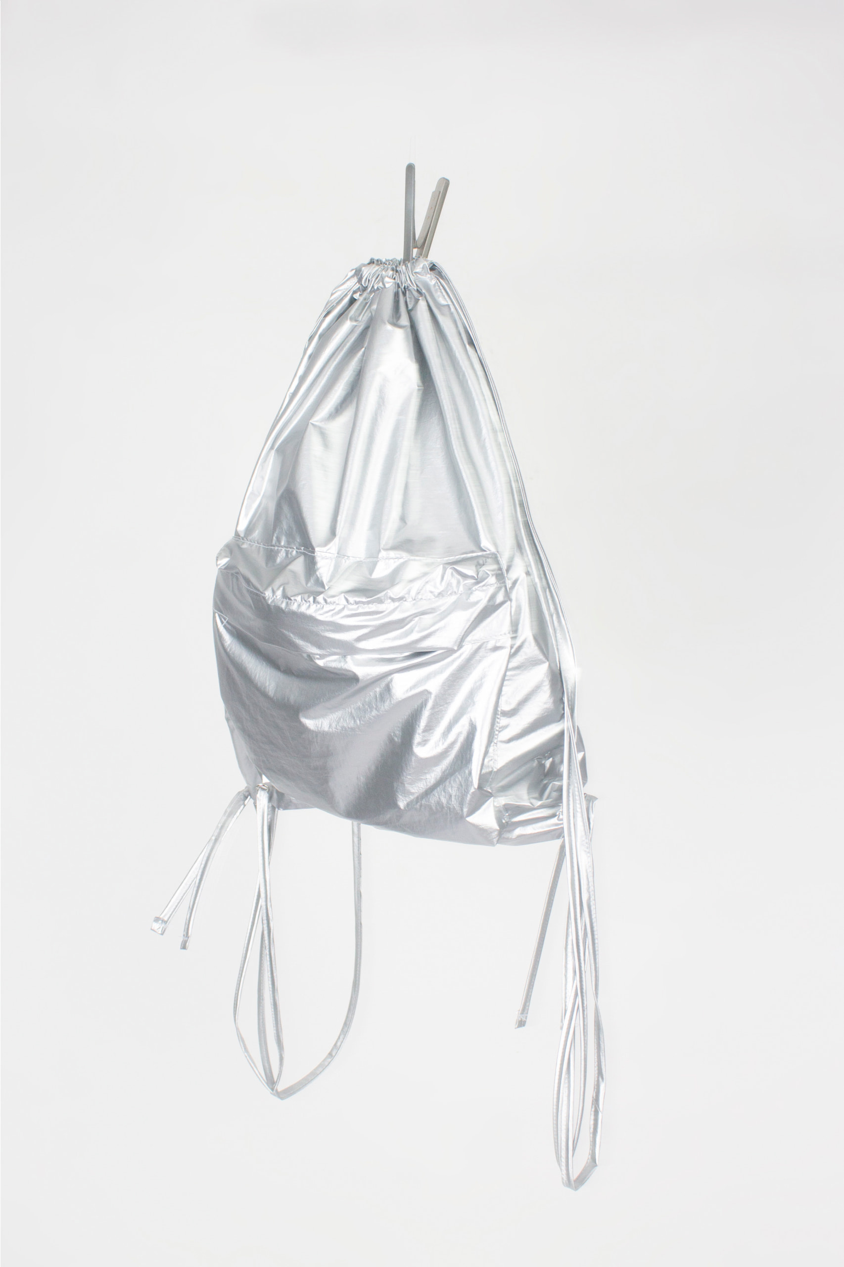 Metallic Backpack (2 color)